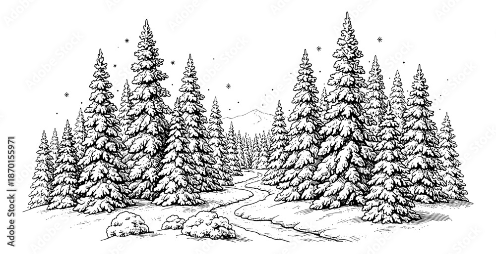 Fototapeta premium Serene winter forest landscape with snow covered pine trees and a winding path an engraved nature scene