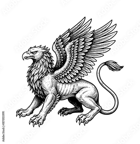 Majestic mythical griffin creature with powerful wings and a regal expression vintage style illustration
