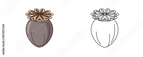 Colored and line art poppy head seed pod illustrations in cartoon style with brown and beige tones for botanical design or coloring book isolated on white background
