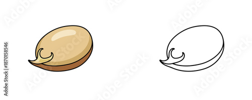 Colored and line art quinoa seed illustrations in cartoon style with beige and brown tones for botanical education or food design isolated on white background
