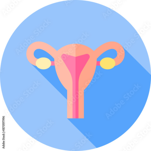 Female Reproductive System