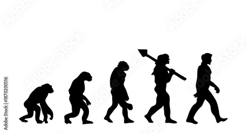 Human Evolution Theory Silhouette from Primitive Ancestors to Modern Man

