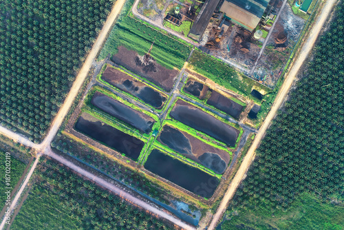 Canvastavla Top-down aerial view of industrial waste treatment ponds at a palm oil mill