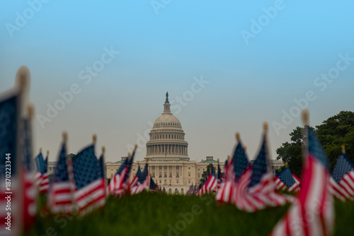 Capitol Hill. American flags near Capitol. Flags in Washington DC with Capitol. Green lawn in Washington with American flags on Capitol.