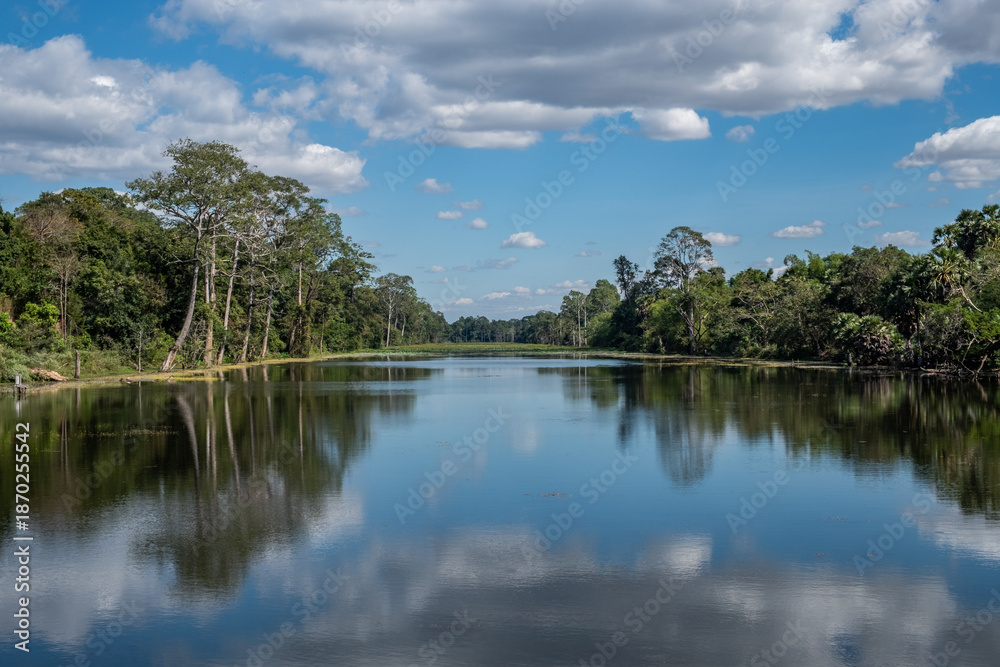 Fototapeta premium Beautiful scenery of ancient moat of Angkor Thom the ancient capital city of Khmer empire in Siem Reap, Cambodia. A moat are each 3 km long, enclosing an area of 9 km.