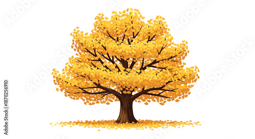 Beautiful ginkgo tree with vibrant yellow leaves during the autumn season, with foliage falling to the ground below.