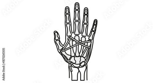Anatomical line art icon of human hand skeleton, displaying detailed bones and abstract lines, ideal for medical, orthopedic, and physiotherapy designs