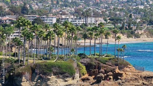 Aerial view of tall palm trees lining a coastal park on rocky ocean cliffs, with deep blue water, sandy beaches, and a dense residential neighborhood stretching across the hillside in the background o