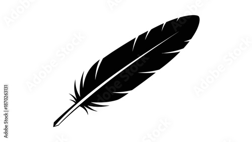 Black feather silhouette on a white background with detailed quill and barbs.