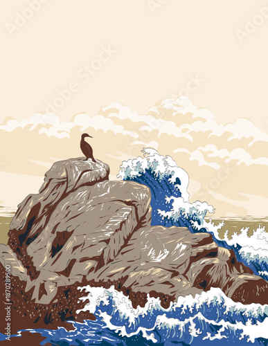 WPA style or ukiyo-e illustration of Brandt's cormorant on rocks at Restless Sea in the Pacific Coast along 17 Mile Drive, Pebble Beach, California done in retro works project administration style.