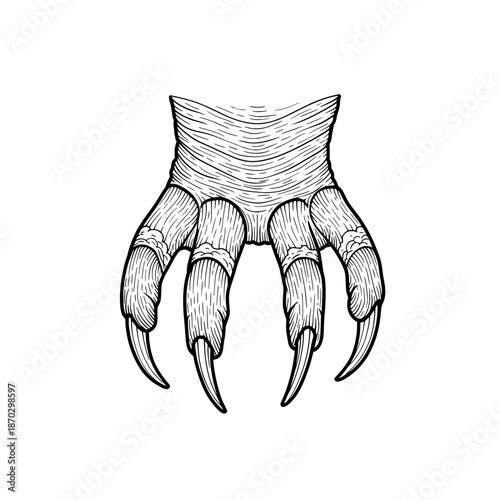 Illustration of a four-fingered hand with band-like decoration on the fingers