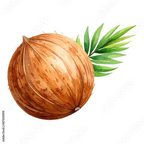 watercolor painting of coconut fruit being drunk during summer