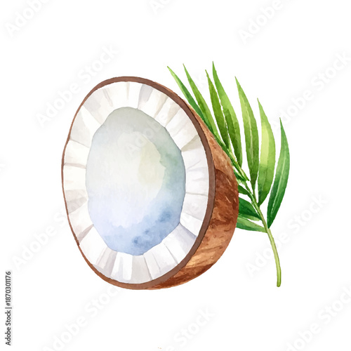 watercolor painting of coconut fruit being drunk during summer