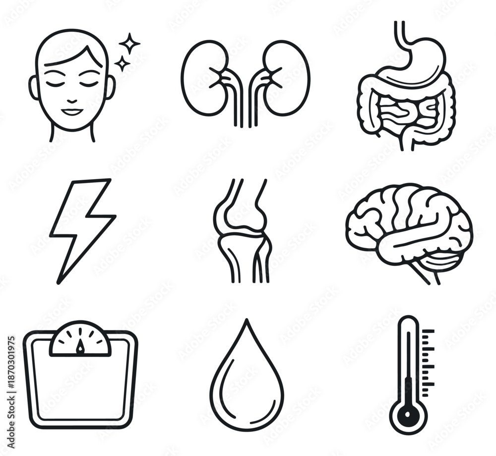 Fototapeta premium Hand drawn line art health icons set featuring human organs, energy, and health indicators for medical and wellness design