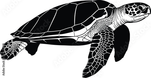 Detailed black and white sea turtle vector illustration isolated on white background, marine life animal silhouette for nature conservation branding,