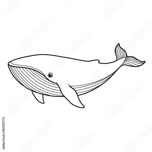 Detailed line art illustration of a whale, showcasing its sleek body and distinctive tail