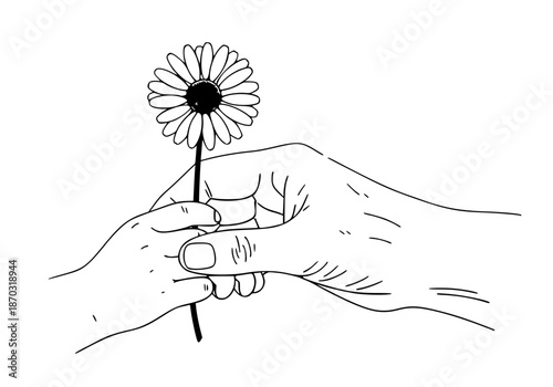 Connectioneering Intergenerational Human Bond Vector. Minimalist Hands Holding Daisy Flower. 2026 Emotional Connection Branding.
