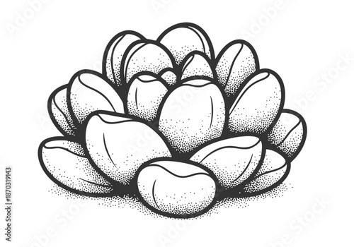 2026 Tactile Sensory Succulent Vector. Puffy Squishy Botanical Illustration in Minimalist Black Line Art. Modern 3D Texture Graphic.