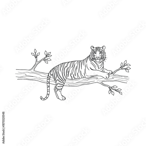 Tiger resting on a tree branch with sparse leaves in a line style Keywords: tiger, big cat