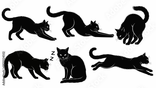 Collection of black cat poses and actions illustration.