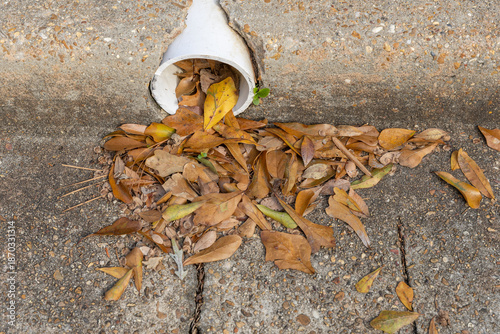 Leaves Clogging Drainage Pipe on Concrete Surface