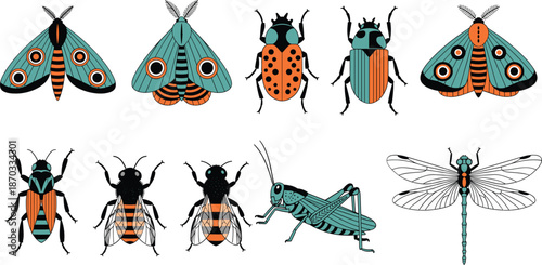 Stylized Colorful Insect Collection with Moths Beetles Grasshopper and Dragonfly Flat Vector Illustration Set