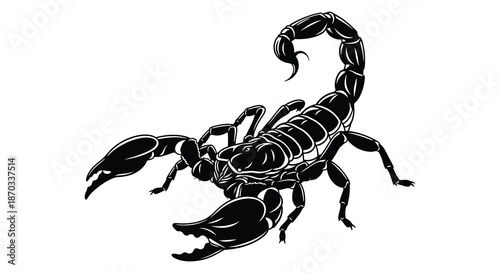 Detailed illustration of a scorpion in a striking black and white style silhouette