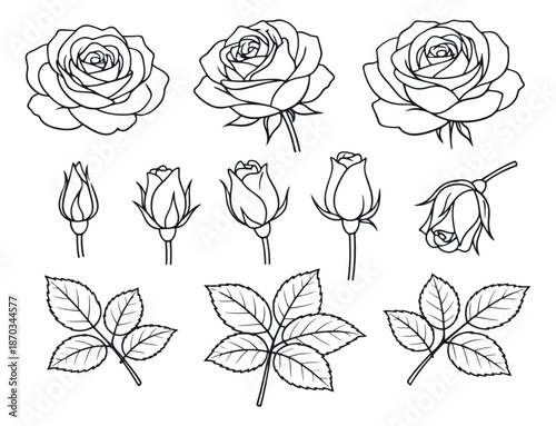 Hand drawn line art rose elements set featuring blooming flowers, buds, and leaves for floral design
