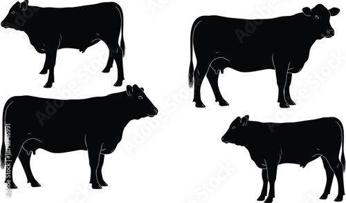 Cow silhouettes collection, farm cattle standing side view poses, livestock animals shapes, isolated black vector illustration set on white background agriculture ranch concept