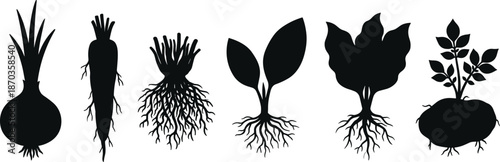 Root vegetables and plant growth silhouettes collection showing carrot onion beet potato seedlings botanical agriculture icons isolated on white
