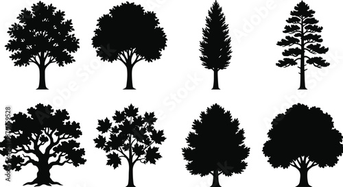 Set of tree silhouettes, different species shapes, black botanical collection, isolated on white background, nature forest design elements