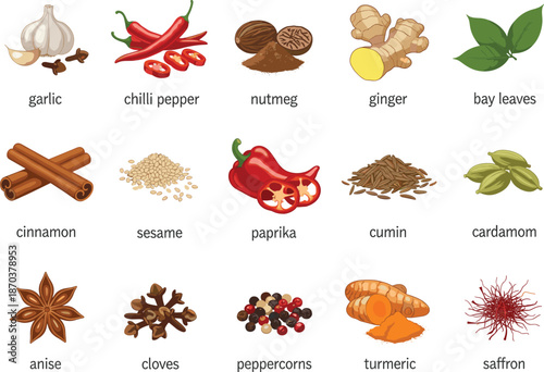 Collection of culinary herbs and spices icons including garlic chili ginger cinnamon turmeric and saffron for cooking and food design,