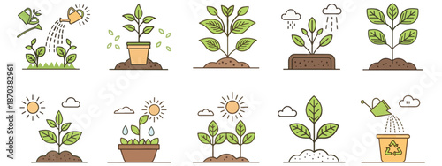 Plant Growth Stages Illustration – Growing Plants Icons & Gardening Concept Art .