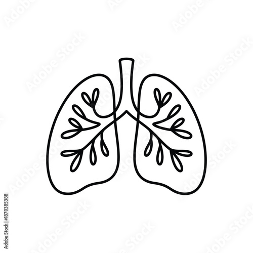 Simple line drawing of human lungs anatomy
