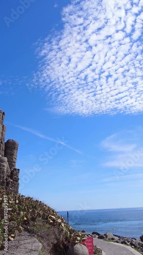 Massive basaltic columnar jointing formations and cactus plants in Tongpan Island Penghu Taiwan