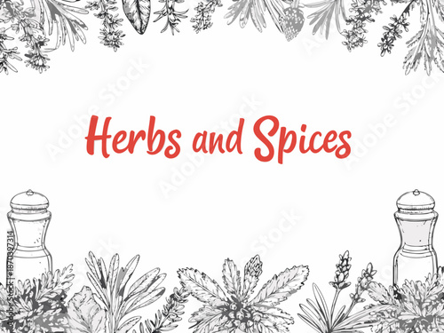 A botanical illustration featuring herbs spices and salt shakers in sketch style