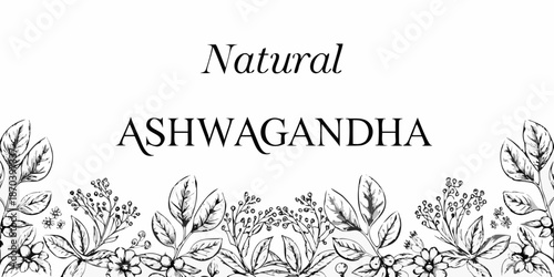Ashwagandha botanical illustration with leaves and the word natural above