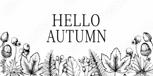 Hello autumn a black and white illustration with acorns and leaves