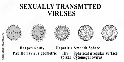 Visual representation of sexually transmitted viruses and their distinct structural forms