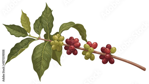 Realistic 3D Cherry Tree Branch with Red Berries and Green Leaves
