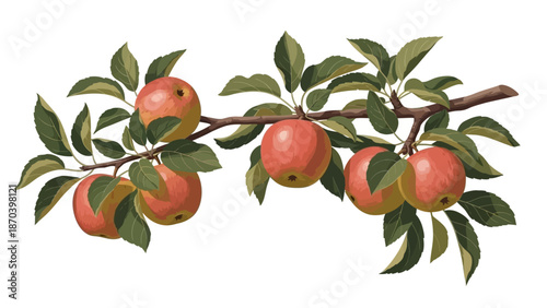 Realistic 3D Apple Tree Branch with Red Ripe Apples and Green Leaves