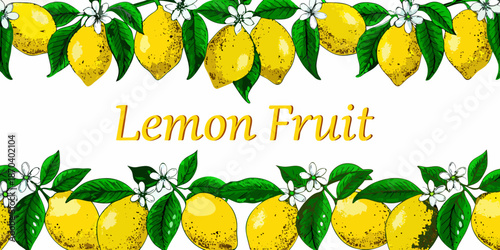 A vibrant illustration of lemons leaves and delicate white blossoms