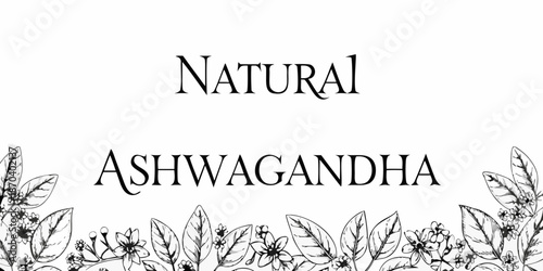 Elegant botanical illustration featuring ashwagandha leaves and the word natural