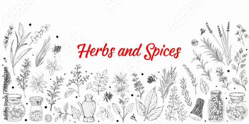 A botanical illustration showcasing various herbs spices and their containers