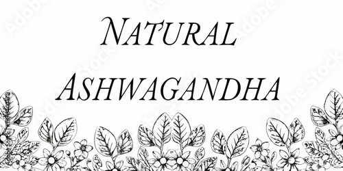 Natural ashwagandha illustration with botanical leaves and floral design elements