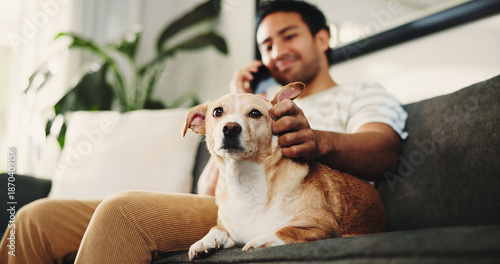 Schilderij op canvas House, phone call and man on sofa, dog and animal care with communication in living room
