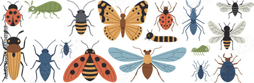 Colorful insects collection, detailed beetles, butterflies, bees, entomology art, nature diversity, bug species, vector illustration, scientific drawing, educational