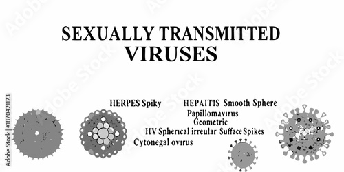 Visual representation of sexually transmitted viruses and their structural components