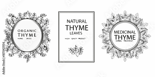 Elegant thyme label designs with botanical illustrations and herbal text elements