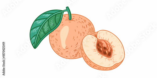 Illustration of a whole apricot and a halved apricot with a leaf